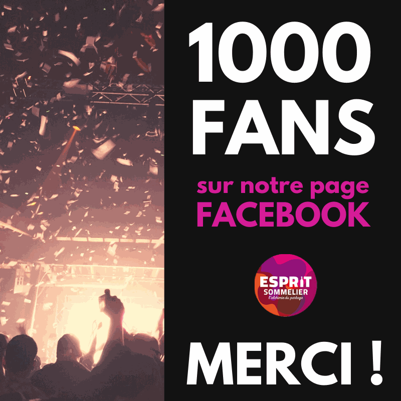 1000 fans sur la page Facebook !