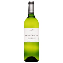 Château Haut Canteloup - Blaye - Blanc - 2020 - 75cl