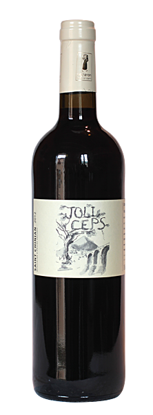 Domaine du vieux chai - Joli Ceps - St Chinian - Rouge - 2020 - 75cl