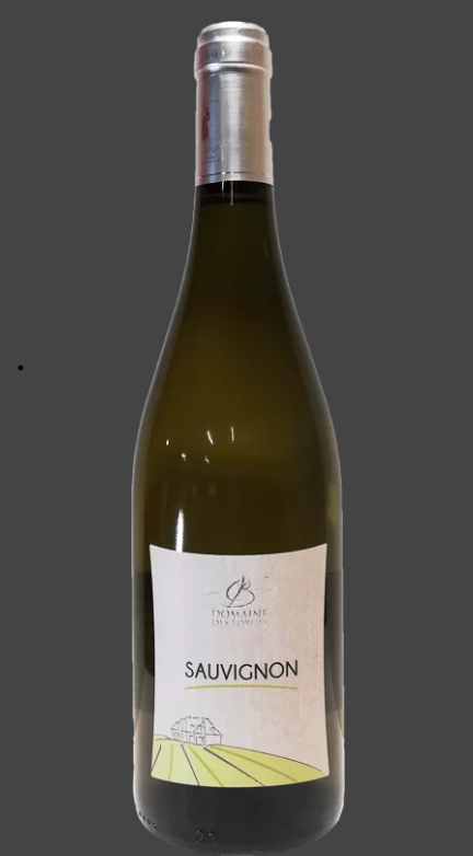 Domaine des Forges - Sauvignon - IGP Val de Loire - 2022 - 75Cl